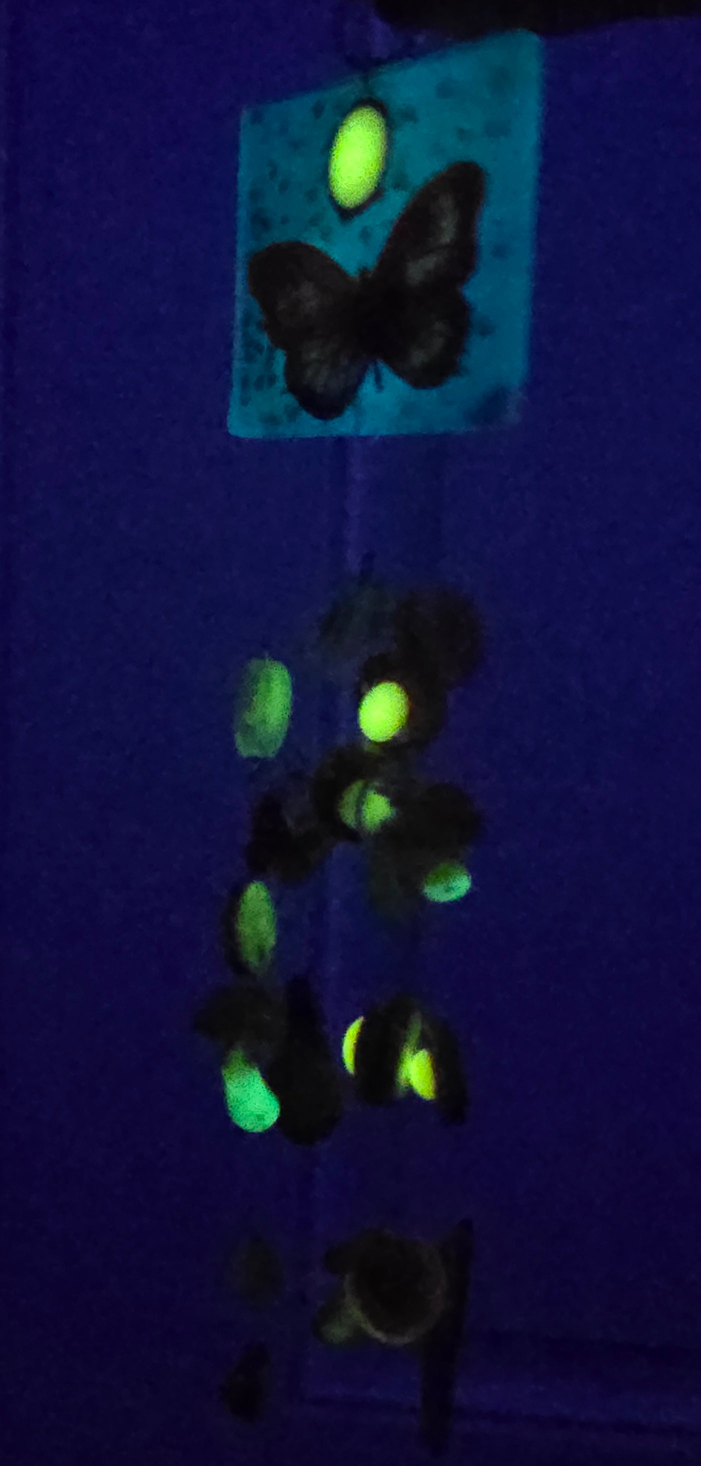 'Windsong' Windchimes